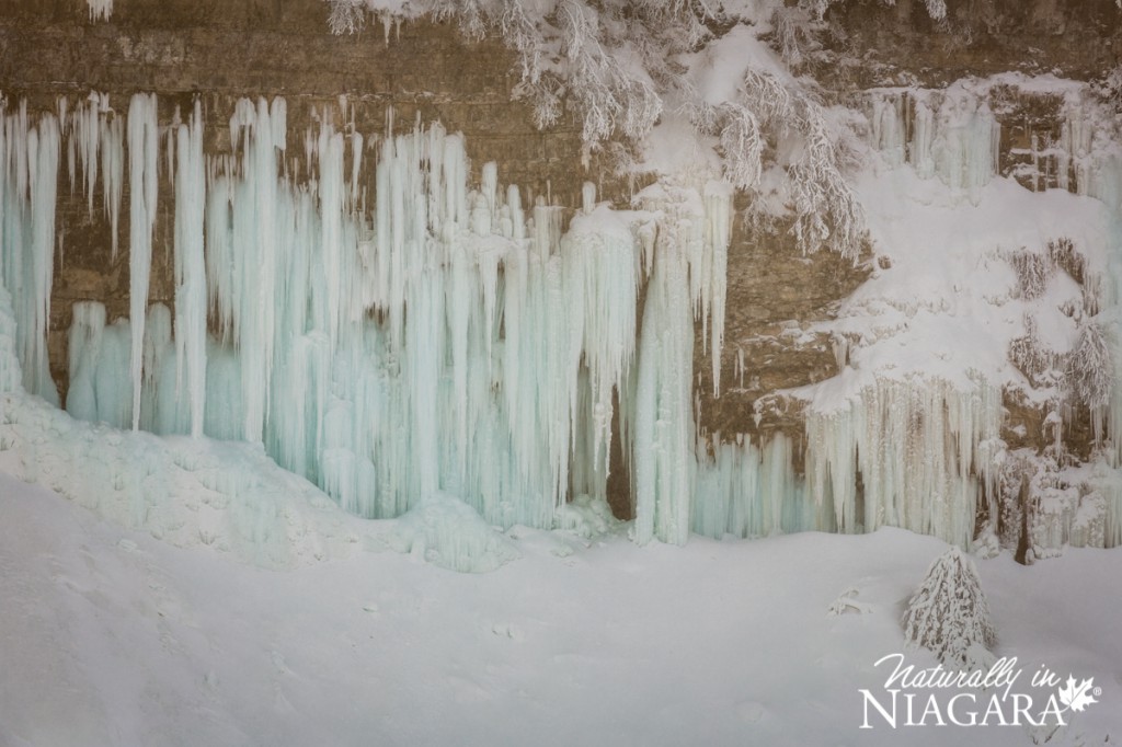 Niagara Falls Frozen (37)