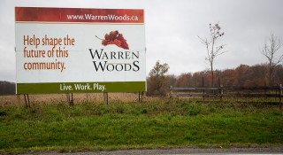 Warren Woods