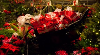 Christmas Floral Showhouse
