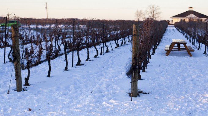 Winter Winefest