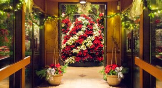 Floral-Showhouse-Christmas-Display