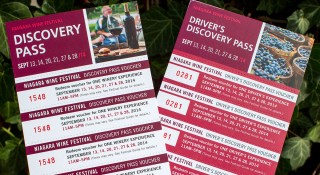 Discovery-Passes